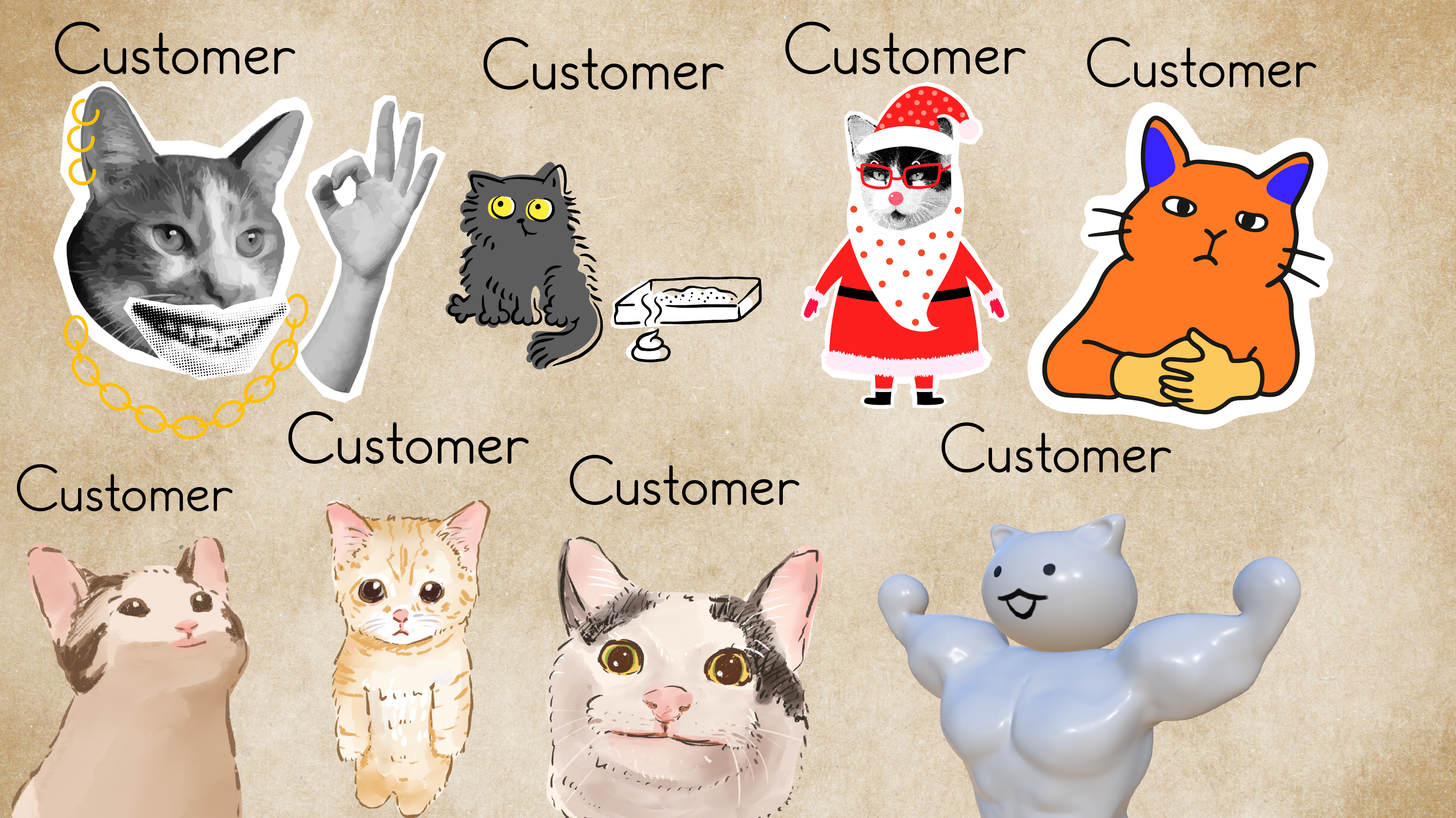 Customer Reviews